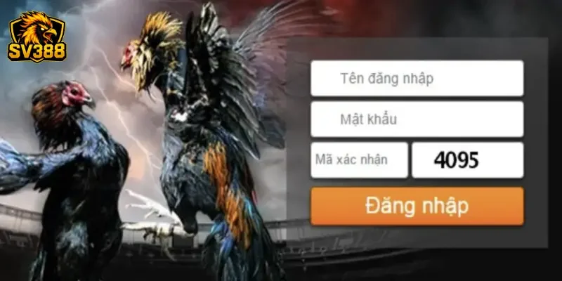 Cách chọn cửa cược đá gà SV388 chuẩn xác từ sư kê lão luyện 4 Sai lầm cần tránh khi áp dụng cách chọn cửa cược đá gà SV388